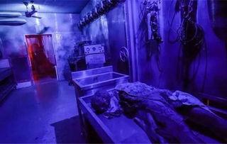 恐怖鬼屋,揭秘恐怖鬼屋的神秘面纱